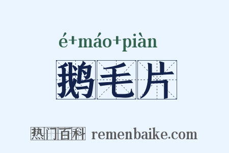 鹅毛片是什么意思的图片